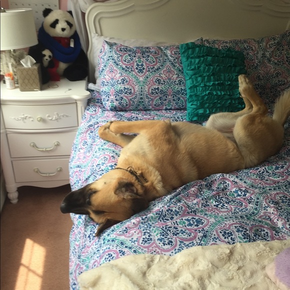 Meet your Posher, Shelley - Picture 14 of 16